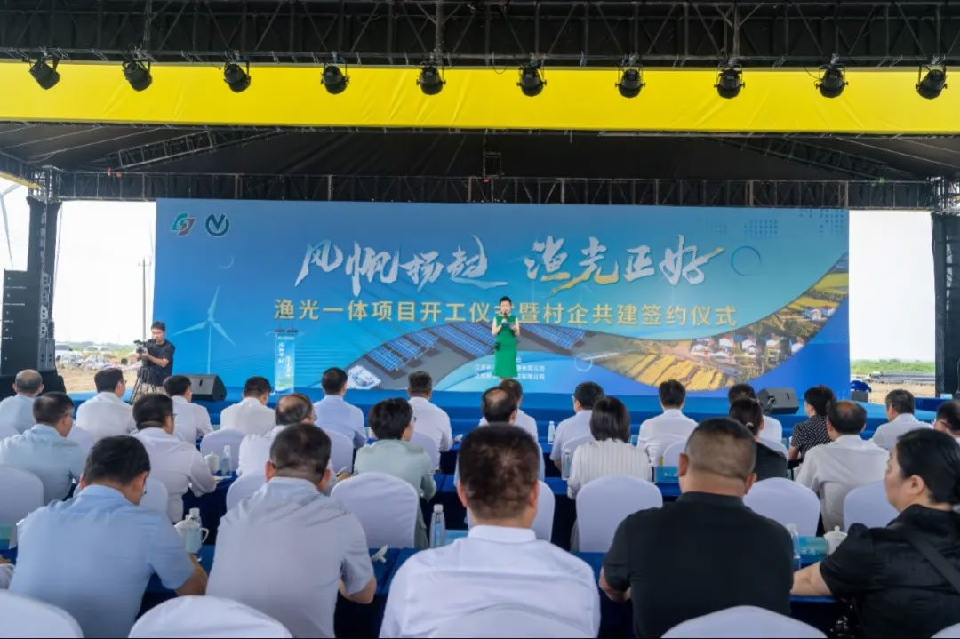 7981756109936610.jpg 1.jpg